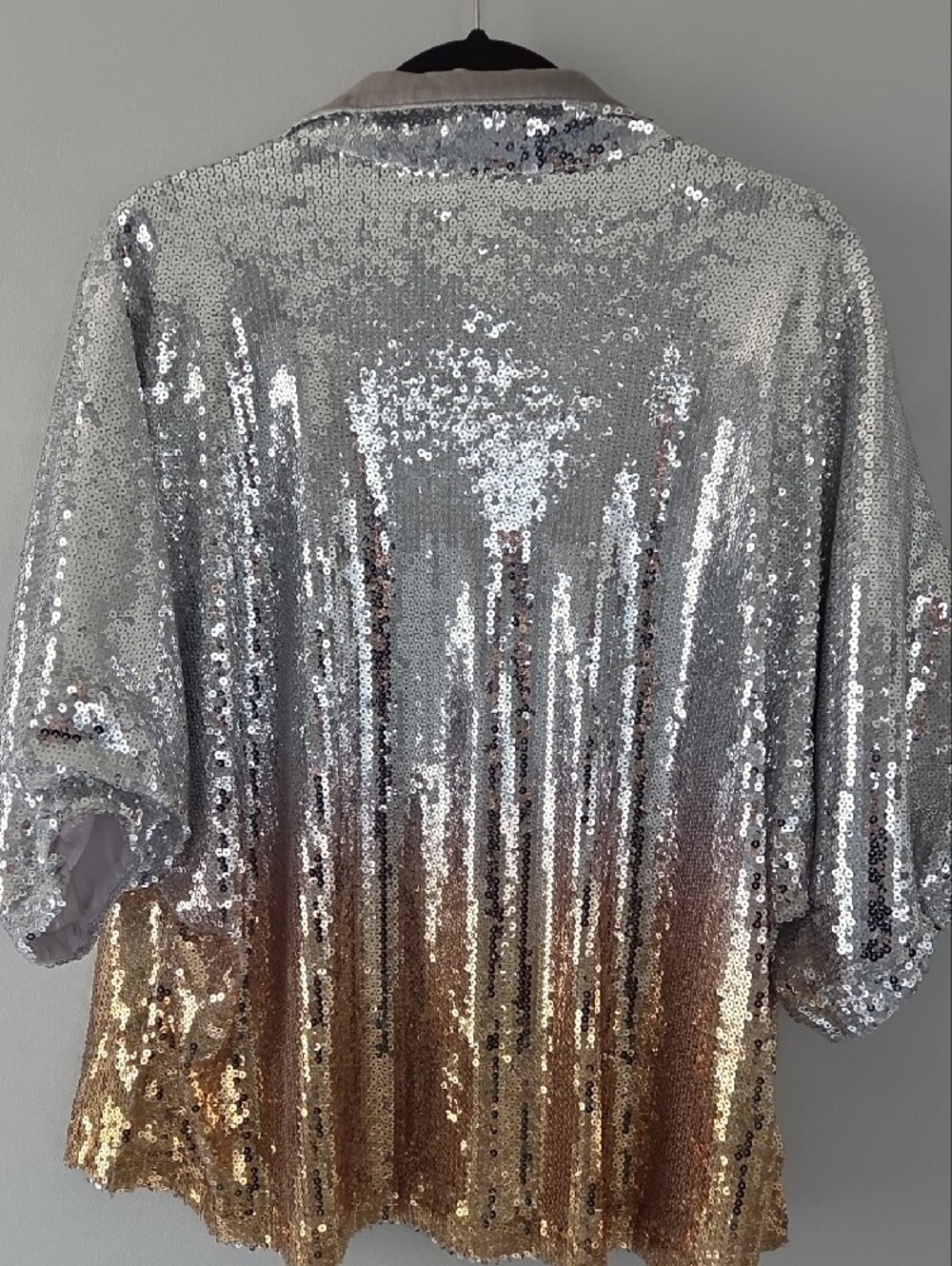 Sequined Ombre V-Neck Pullover Top by Emily Mccarthy - Silver to Gold - Picture 5 of 5